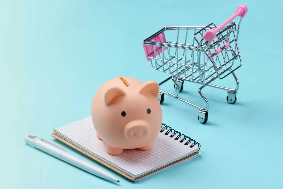Controllare costi carta di credito