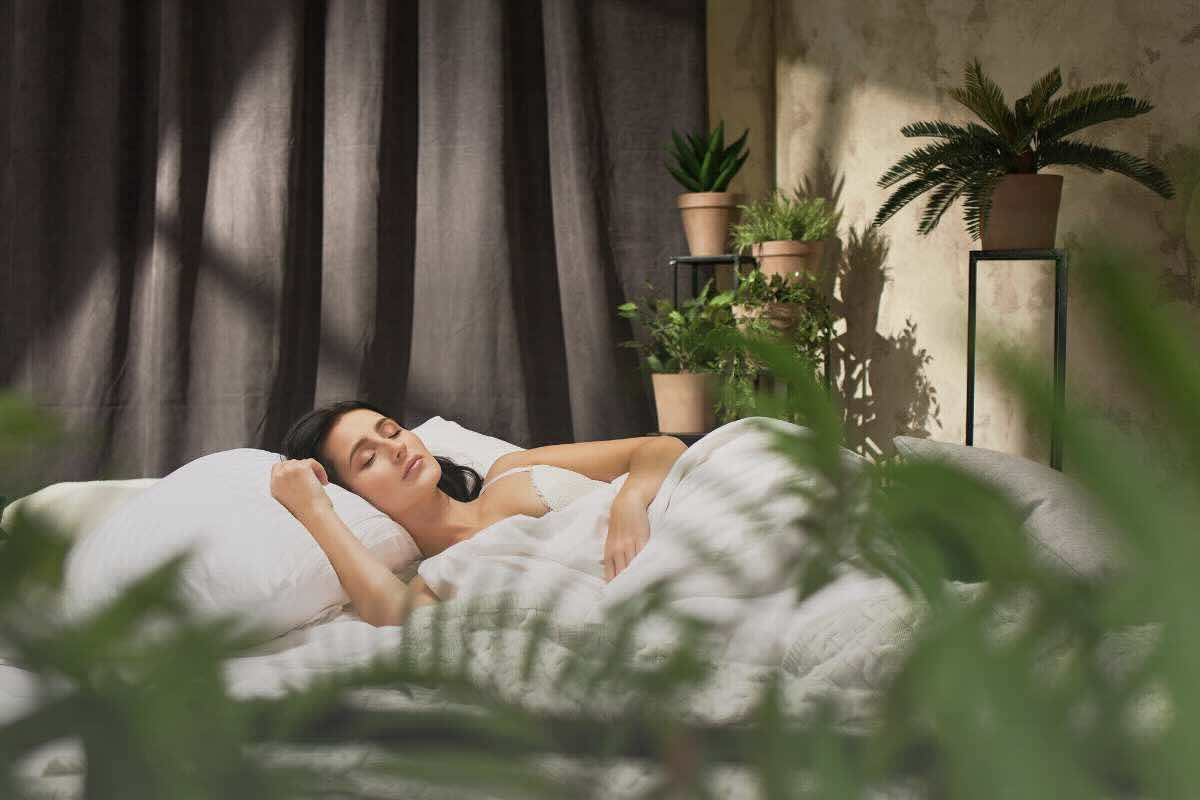 Piante in camera da letto per dormire meglio