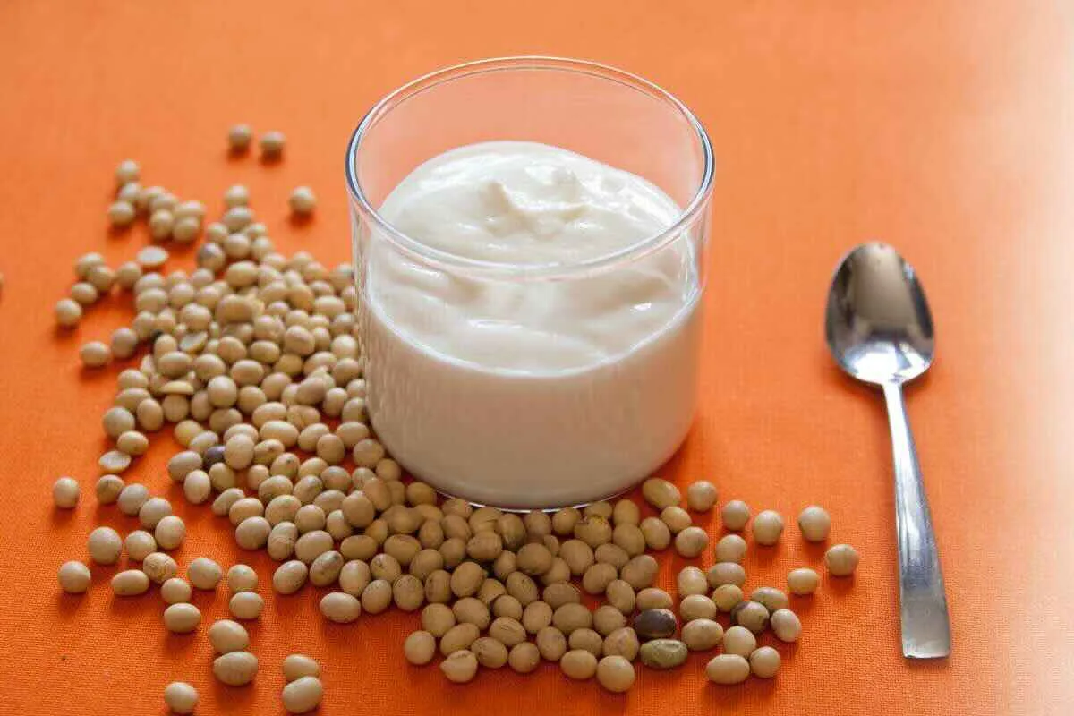 Yogurt greco, skyr ne kefir vegetali