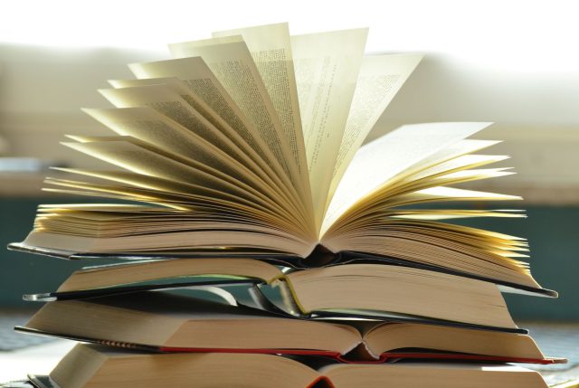 Libri e letture per le novita editoriali estive