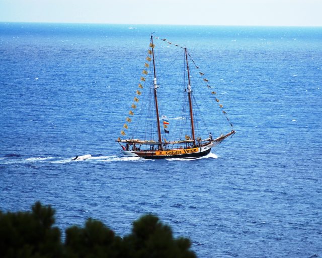 Goletta Verde nel golfo di Palermo
