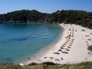 Spiaggia di Fetovaia all Isola d Elba