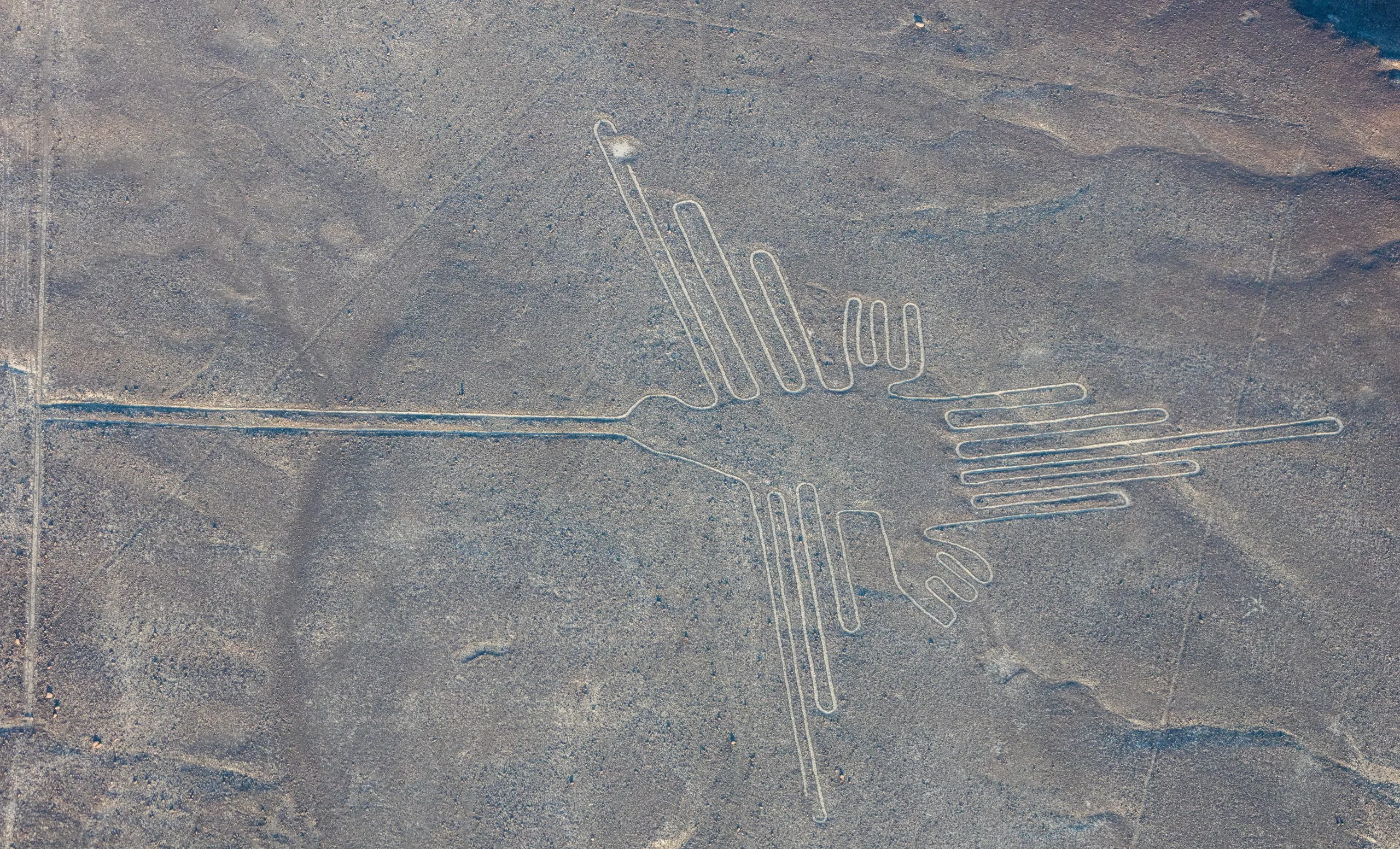 Linee di Nazca viste dall alto nel deserto peruviano