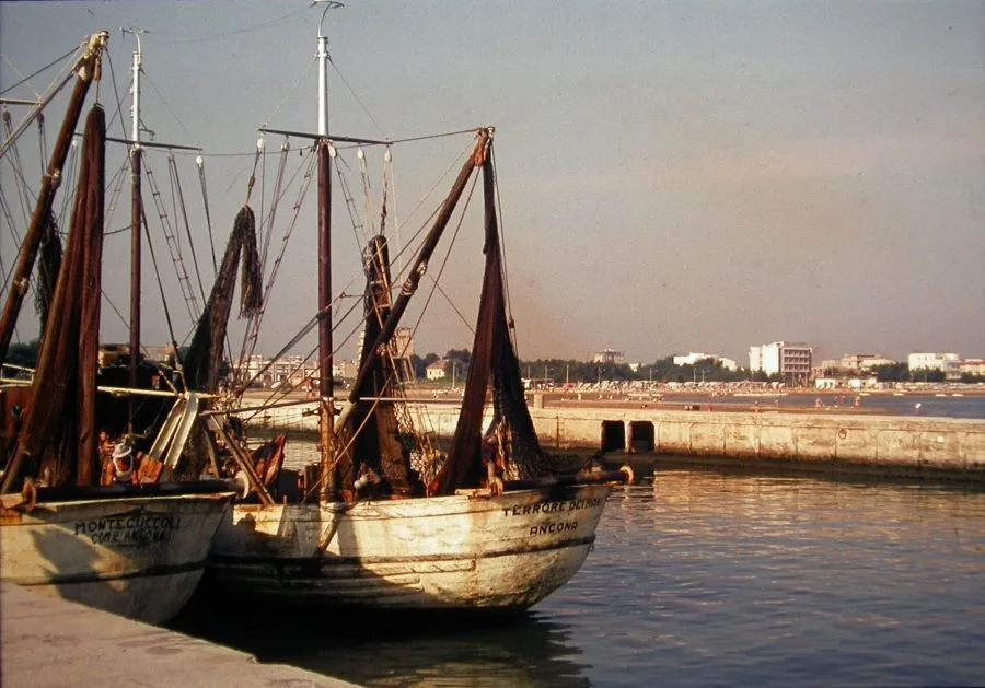 Il porto di Rimini con le barche ormeggiate
