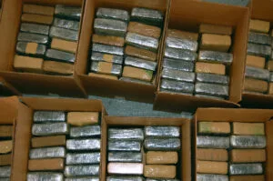 Pacchi di cocaina sequestrati