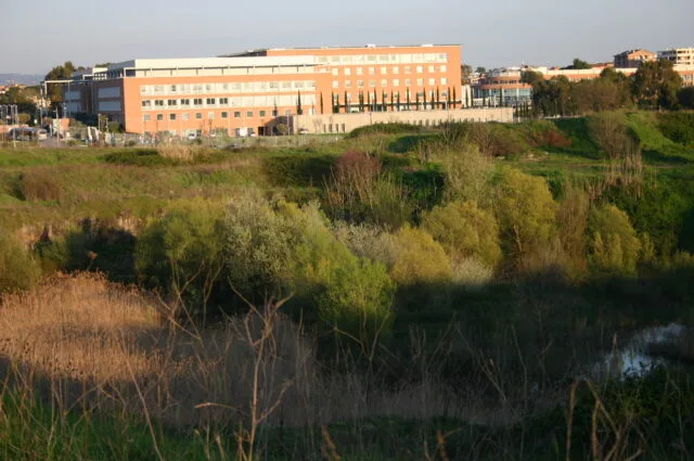 Policlinico universitario in contesto medical drama