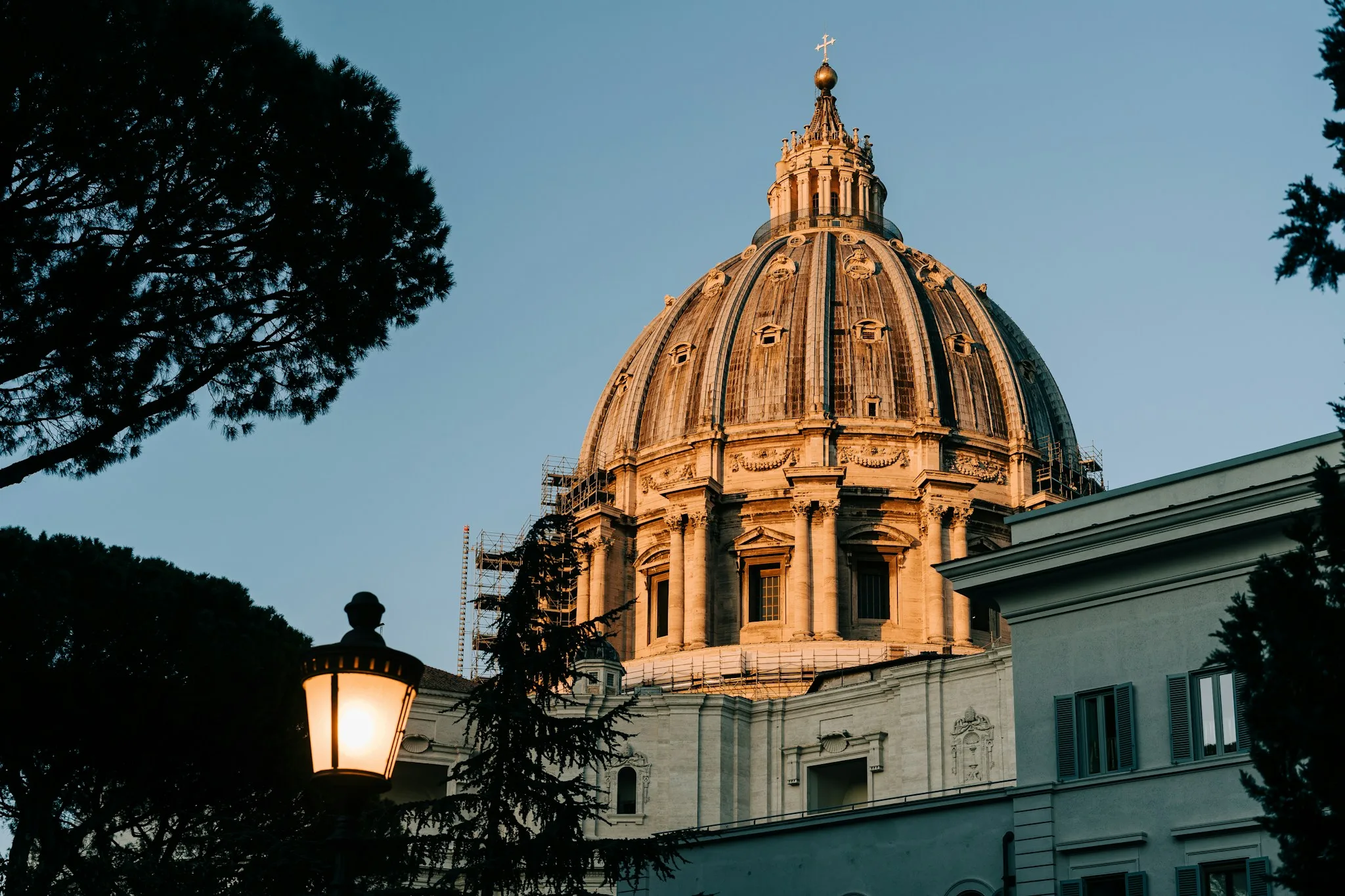 Cupola della Basilica di San Pietro illuminata dal sole, tra alberi e un lampione