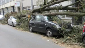 Auto danneggiata da un albero caduto, foto d’archivio