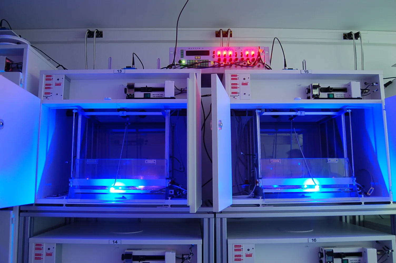 Apparato di optogenetica con luce blu in laboratorio