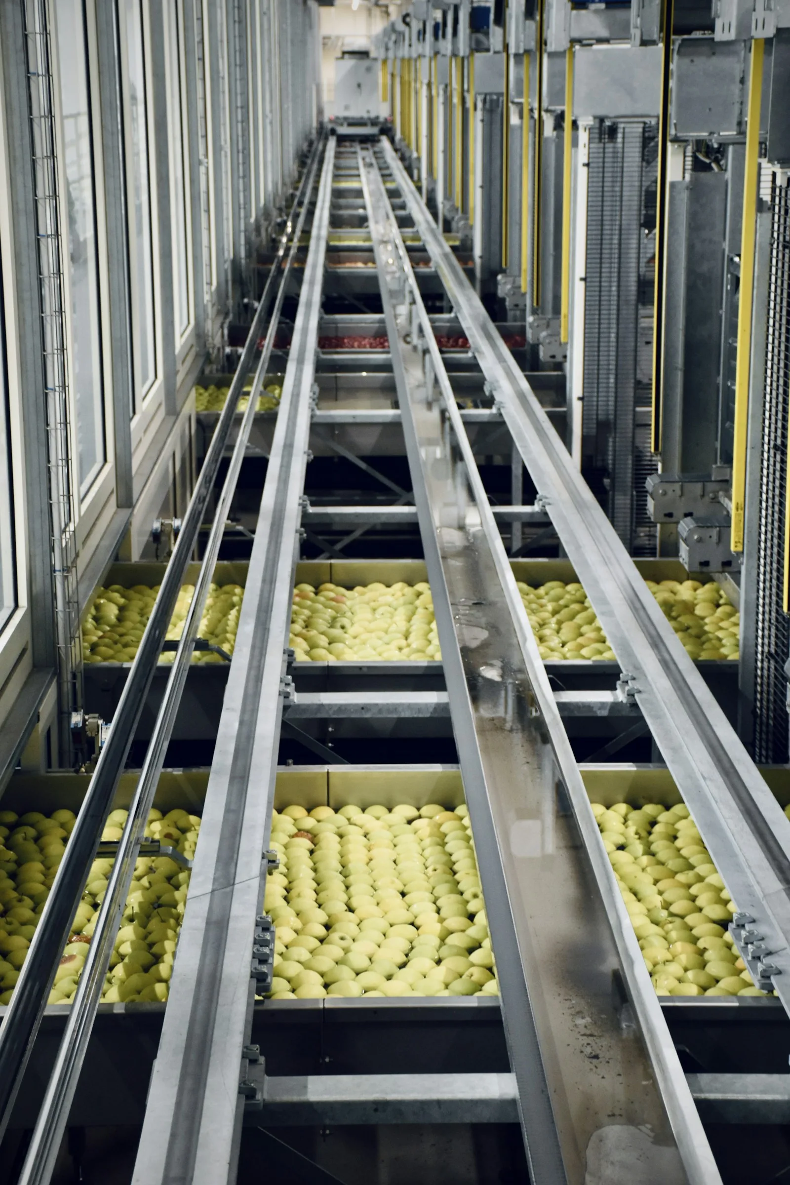Vasche con mele e strutture di movimentazione in un impianto di lavorazione nel Nord Italia